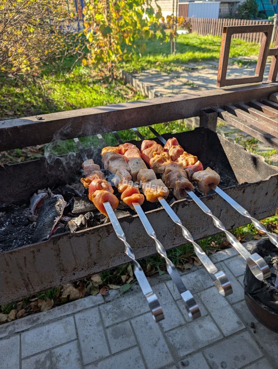 Шашлык на мангале на дачном участке