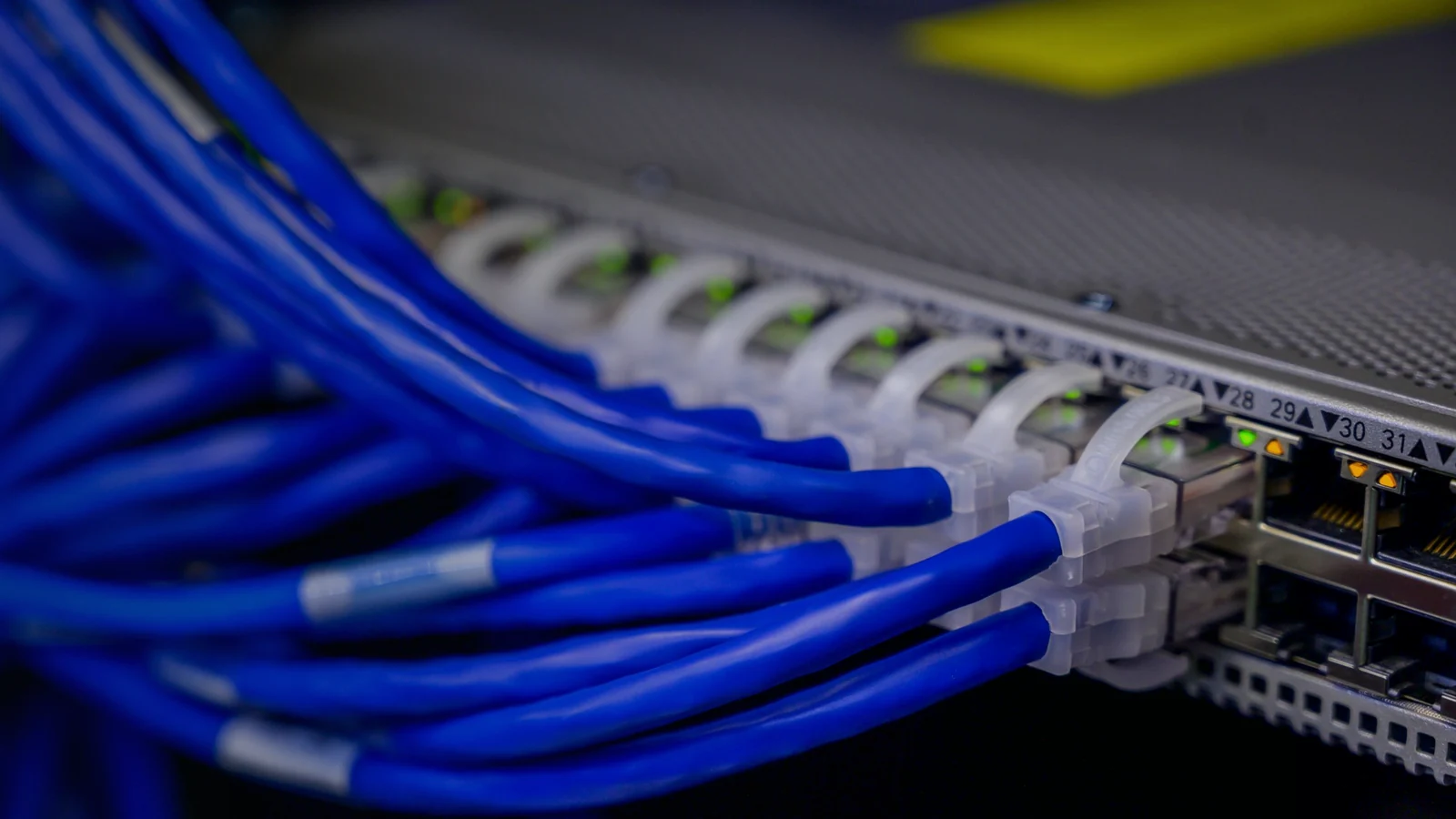 Синие Ethernet-кабели подключены к сетевому коммутатору